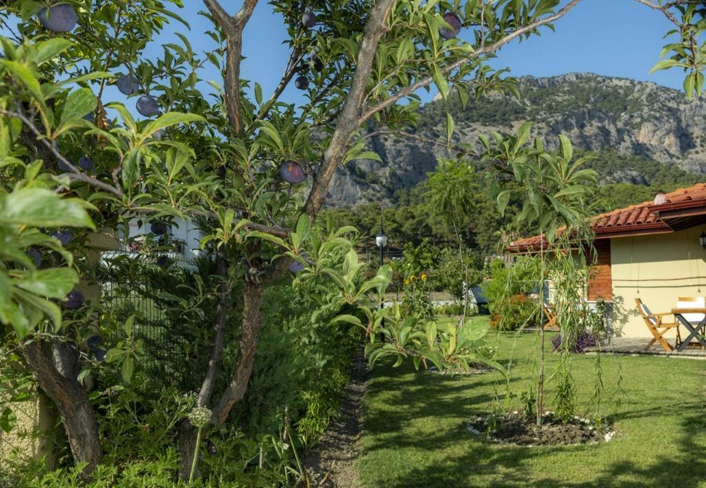 Sandal Hotel Gocek Eksteriør billede
